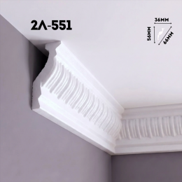 Инжекционный плинтус 2Л-551