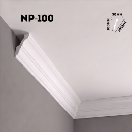 Экструдированный плинтус NP-100